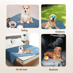 Gogobunny dog blanket on sofa protects furniture from scratches