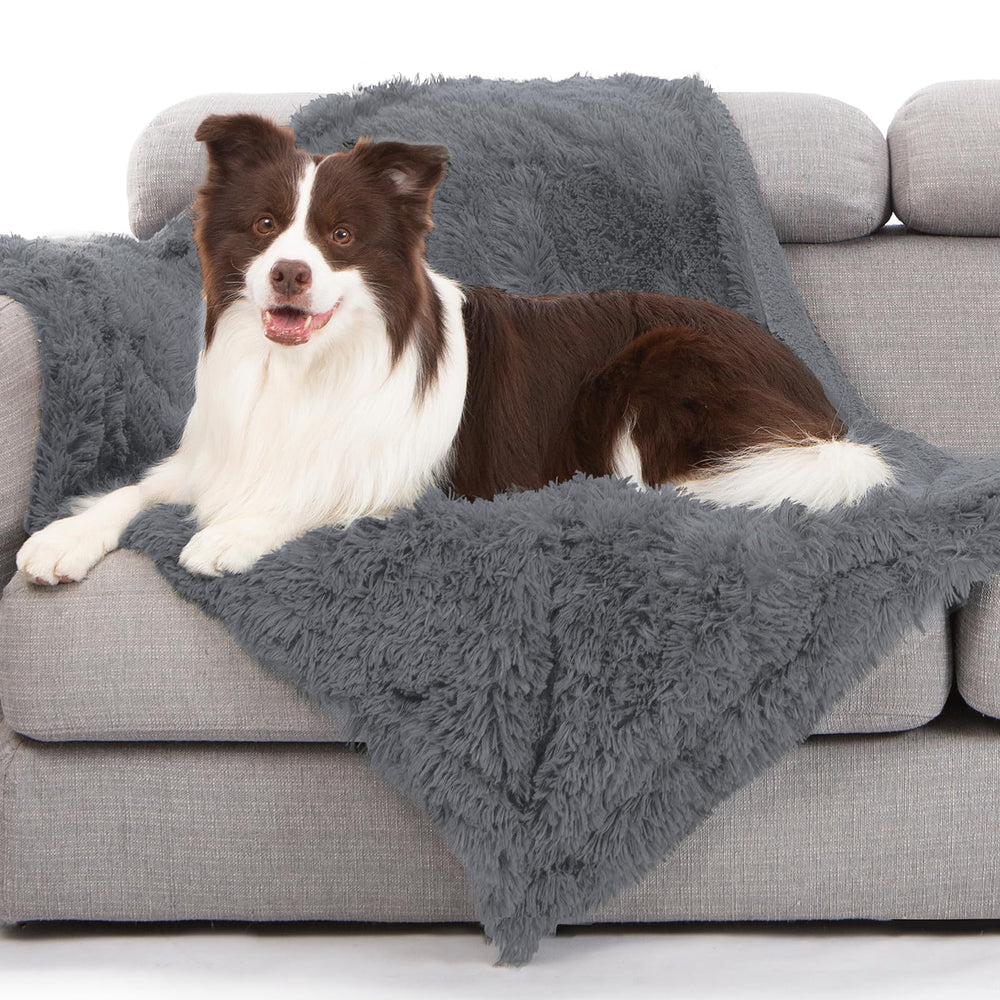 Gogobunny waterproof dog blanket on a sofa protecting furniture from spills