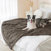Gogobunny waterproof dog blanket protects furniture while keeping your sofa dry and clean.