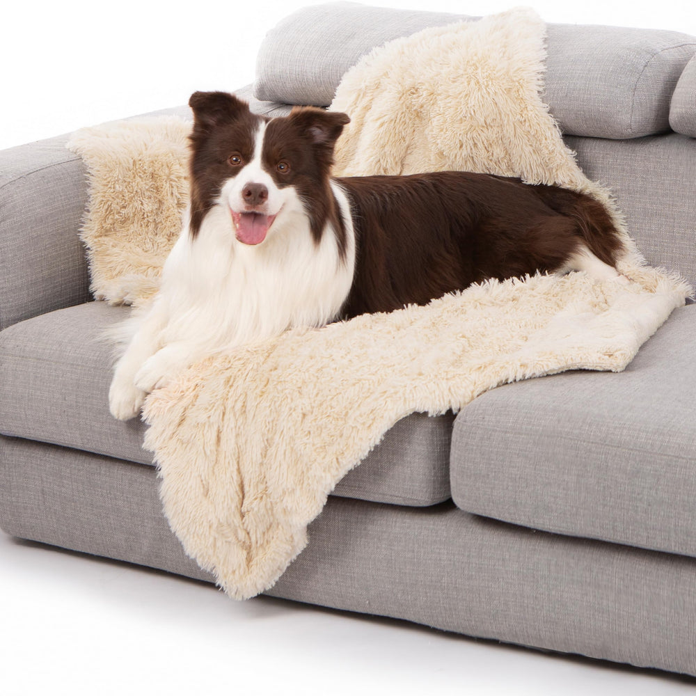 gogobunny waterproof pet blanket on sofa protects furniture from spills and messes.