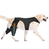 GoGoPaw dog knee brace front view shows adjustable ACL support for active dogs