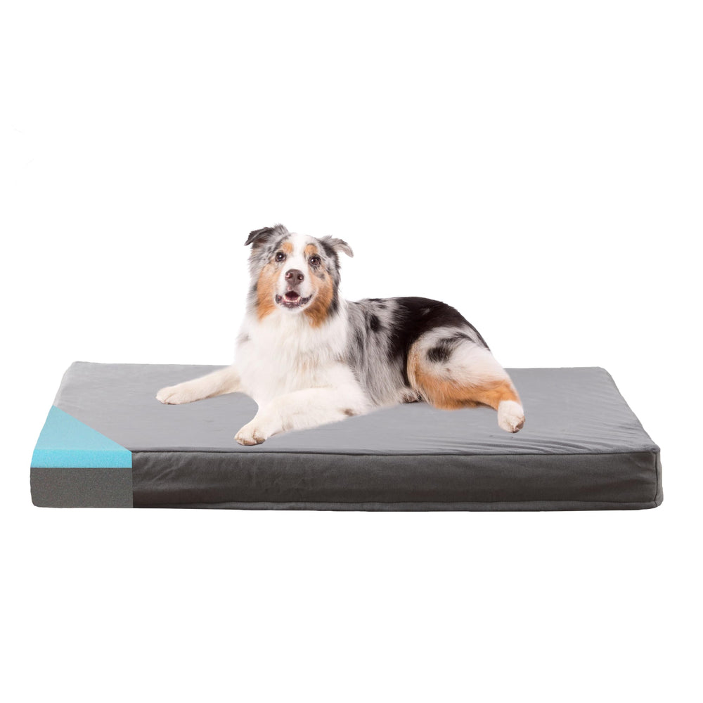 GOHOO PET orthopedic memory foam bed closeup highlighting joint-supporting foam