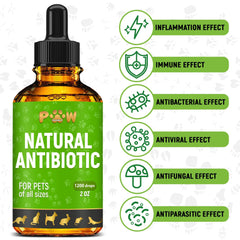 Golden Paw antibiotics drops dosing demonstrates easy administration for dogs and cats.