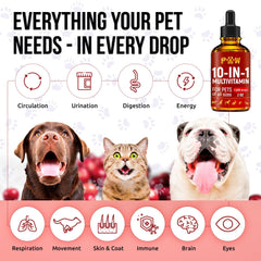 Golden Paw cat skin coat glow showing healthy fur and shine