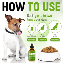 Golden Paw herbal flavor liquid probiotics adds palatability during daily dosing.