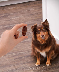 Golden Rewards air-dried jerky texture — real chicken and pork flavor dogs love