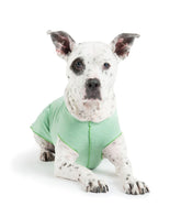 Gold Paw dog sun shirt close-up highlighting UPF 50+ protection and breathable fabric.