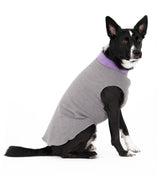 Gold Paw Duluth double fleece dog coat front view keeps small dogs warm on chilly walks