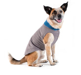 Gold Paw Duluth double fleece sweater vest front view keeps small dogs warm and stylish.