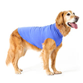 Goldpaw stretchy fleece jacket front view in cornflower blue offering cozy warmth