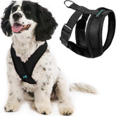 Gooby Comfort X Harness black large front view with no-pull design for comfortable daily walks