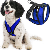 Gooby Comfort X Harness blue front view shows no-pull design for calmer walks.