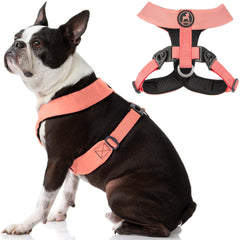 Gooby Comfort X Harness Dual Snap pink medium front view demonstrates easy, comfortable daily-walk fit.