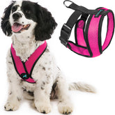 Gooby Comfort X harness Flamingo Pink back view for comfortable daily walks