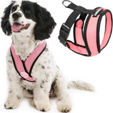 Gooby Comfort X Harness pink front view highlighting easy chest-fit design for small dogs.