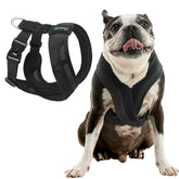 Gooby Comfort X One Dog Harness escape-free security for small dogs during walks