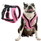 Gooby Comfort X One Dog Harness escape-free security for small dogs during walks