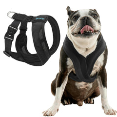 Gooby Comfort X One harness showing escape-free security for small dogs.
