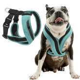 Gooby Comfort X One Dog Harness Seattle Blue front view, escape-free secure fit for small dogs.