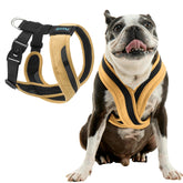 Gooby Comfort X One Harness escape-free snug fit for small dogs during walks
