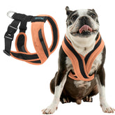 Gooby Comfort X One Harness escape-free design keeps small dogs secure on walks.