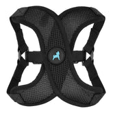 Gooby Comfort X Step in Lite Harness black on a small dog showing chest-strap focus for choke-free walks
