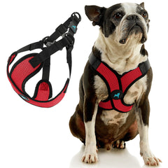 Gooby Comfort X Step-in Lite harness buckle close-up demonstrates quick-release on/off