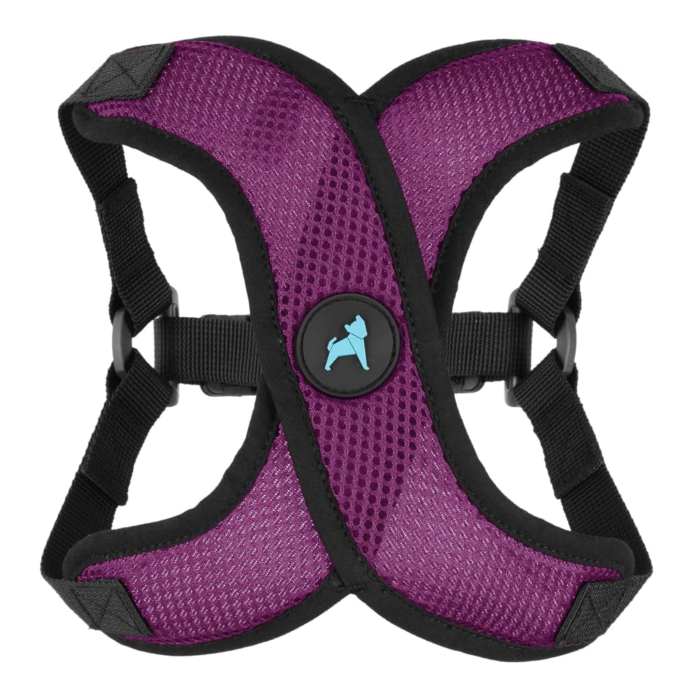 Gooby Comfort X Step In Lite Harness with choke-free design, ideal for small dogs.