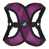 Gooby Comfort X Step In Lite Harness with choke-free design, ideal for small dogs.