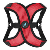 Gooby Comfort X Step-in Lite harness front view for secure daily walks