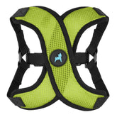 Gooby Comfort X Step-in Lite harness in green on a small dog for secure daily walks.