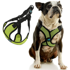 Gooby Comfort X Step-in Lite harness quick-release buckle enables easy on/off.