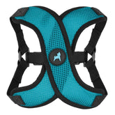 Gooby Comfort X Step in Lite Harness turquoise on dog for secure choke-free walks.