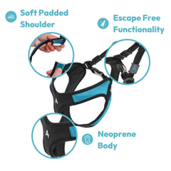 Gooby Escape Free Easy Fit black buckle closeup highlights quick-release feature.