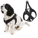 Gooby Escape Free Easy Fit Harness black front view demonstrates secure daily wear.