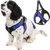 Gooby Escape Free Easy Fit harness blue small step-in for comfortable daily walks