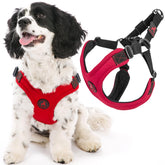 Gooby escape-free sport harness red side view showing secure fit