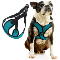 Gooby Comfort X Step in Lite Harness quick-release buckle for easy on and off.
