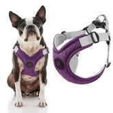 Gooby memory foam step-in harness purple large ready for cozy daily walks.