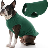 Gooby Stretch Fleece Vest forest green worn by a dog on a windy walk for warmth