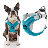 Gooby turquoise memory foam harness large side view highlights a comfortable fit for tiny dogs.