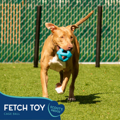 Good Scout Cage Ball Dog Toy vibrant color attracts dogs during playtime.