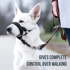 GoodBoy dog head halter safety-strap back view demonstrates secure leash connection