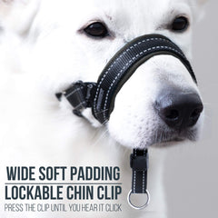 GoodBoy head halter padded nose area ensures comfortable wear for dogs