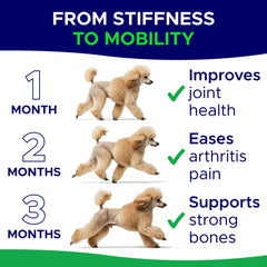 GOODGROWLIES glucosamine-dogs-chews-wide-shot displays tasty chews dogs happily enjoy during routines.
