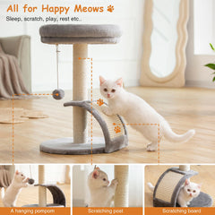 Goozii cat tree includes hanging toy ball for interactive play