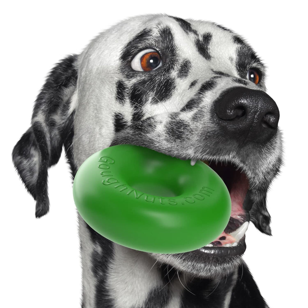 Goughnuts 5-inch green ring toy closeup, durable rubber for aggressive chewers.