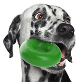 Goughnuts 5-inch green ring toy closeup, durable rubber for aggressive chewers.