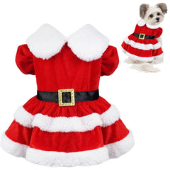GOYOSWA cat Christmas dress front view with Santa belt and white collar.