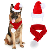 GOYOSWA dog Christmas Santa hat front view for festive photos